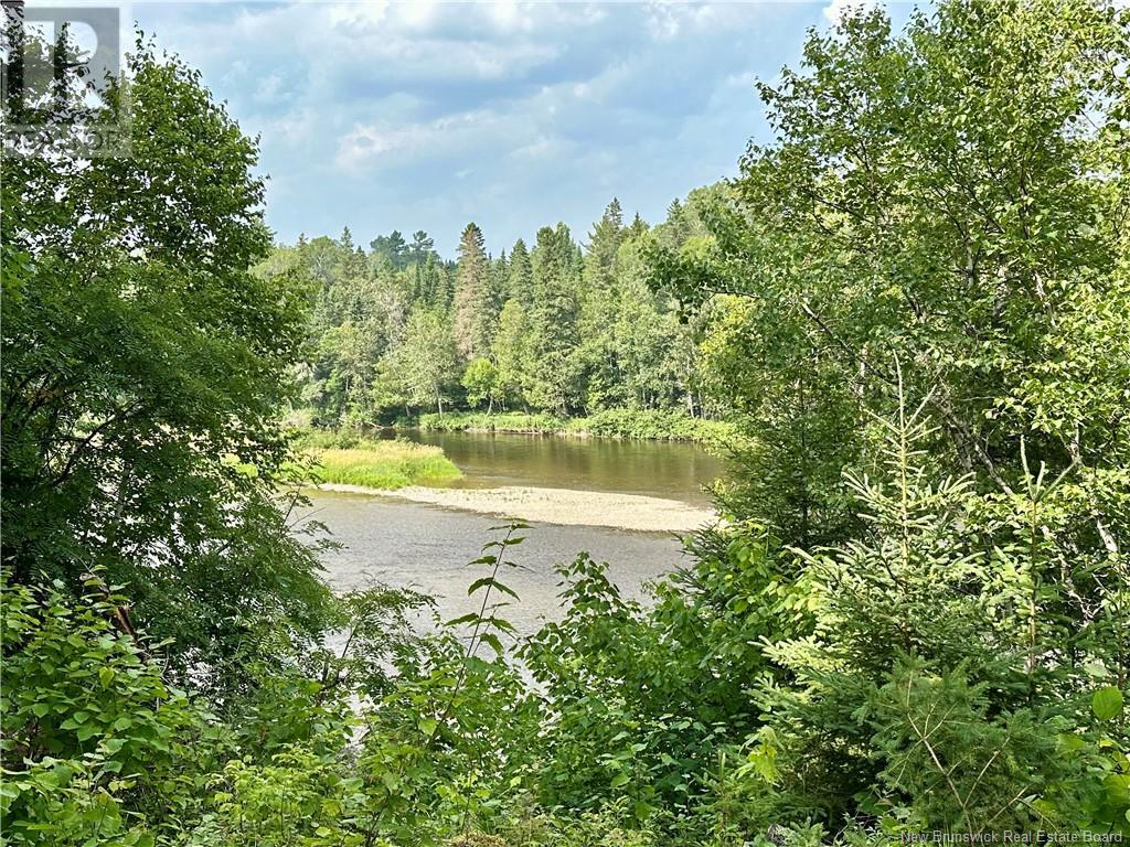 Route 385, Blue Mountain Bend, New Brunswick  E7G 3K4 - Photo 21 - NB121545