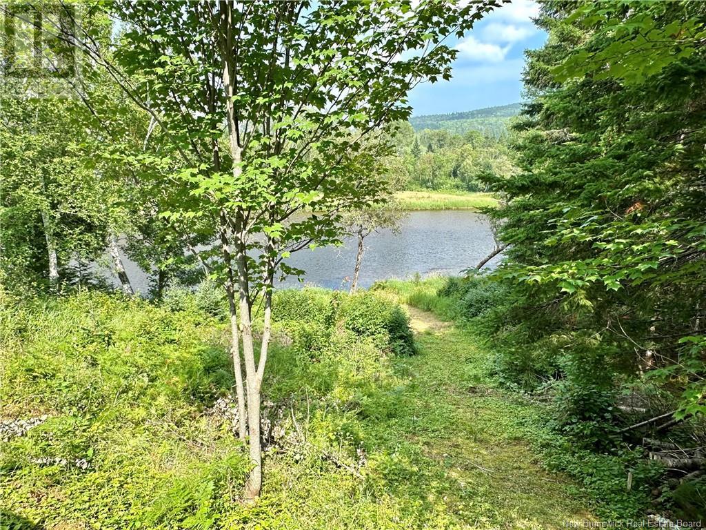 Route 385, Blue Mountain Bend, New Brunswick  E7G 3K4 - Photo 23 - NB121545