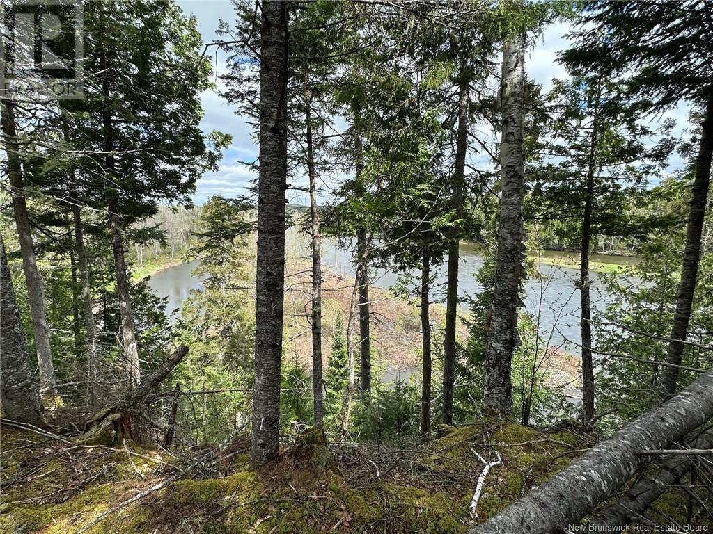 Route 385, Blue Mountain Bend, New Brunswick  E7G 3K4 - Photo 25 - NB121545