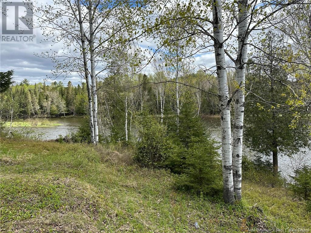 Route 385, Blue Mountain Bend, New Brunswick  E7G 3K4 - Photo 26 - NB121545