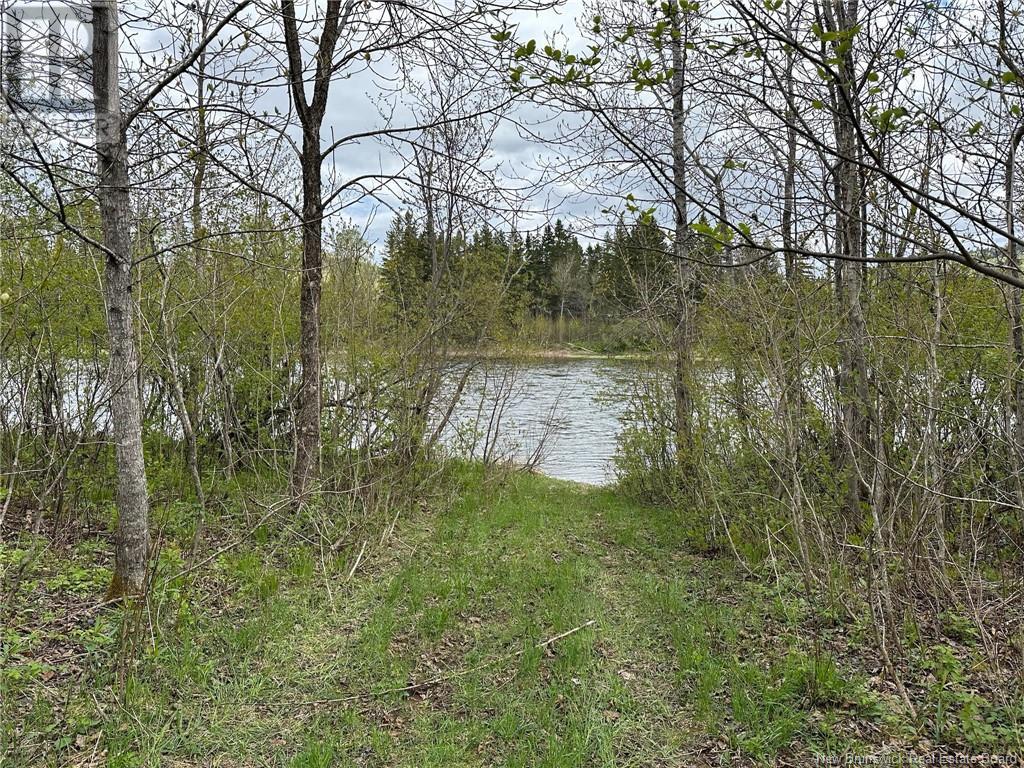 Route 385, Blue Mountain Bend, New Brunswick  E7G 3K4 - Photo 27 - NB121545