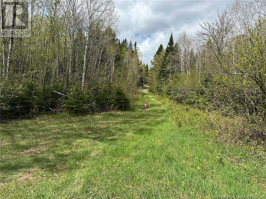 Route 385, Blue Mountain Bend, New Brunswick  E7G 3K4 - Photo 28 - NB121545