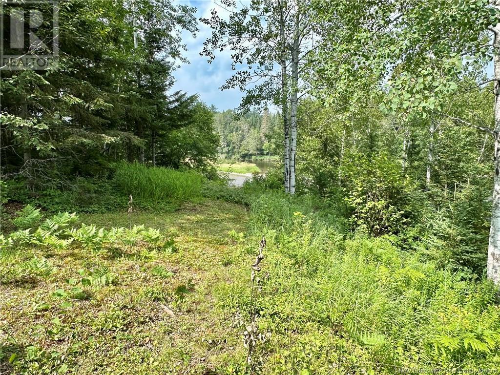 Route 385, Blue Mountain Bend, New Brunswick  E7G 3K4 - Photo 29 - NB121545