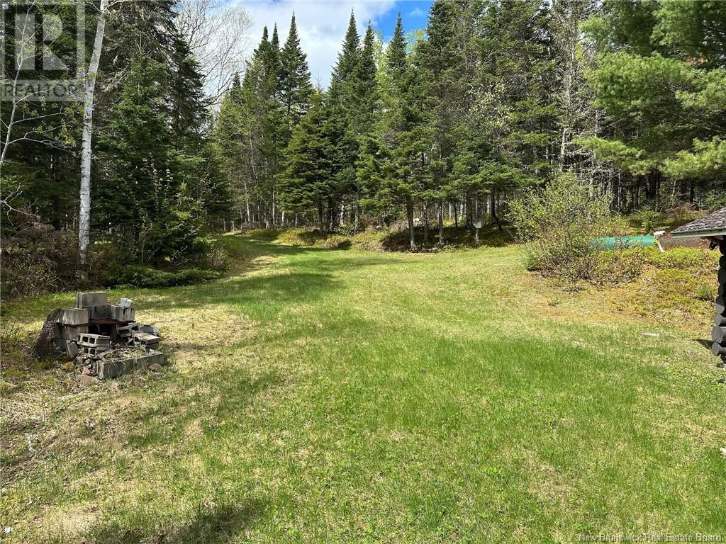 Route 385, Blue Mountain Bend, New Brunswick  E7G 3K4 - Photo 30 - NB121545