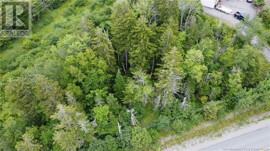 00 Gault Road, Saint John, New Brunswick  E2M 5H4 - Photo 4 - NB123958