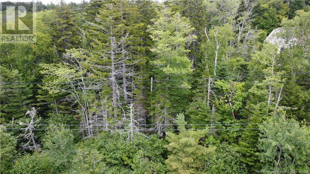 00 Gault Road, Saint John, New Brunswick  E2M 5H4 - Photo 8 - NB123958