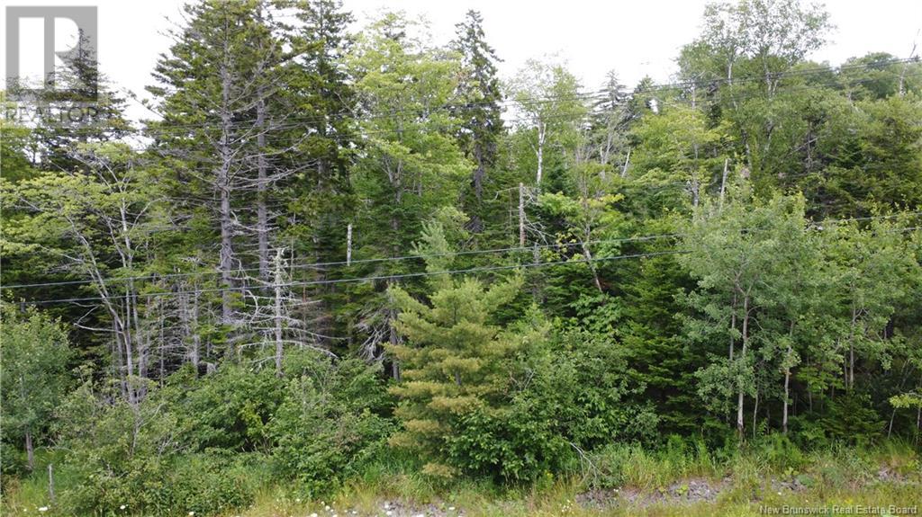 00 Gault Road, Saint John, New Brunswick  E2M 5H4 - Photo 9 - NB123958