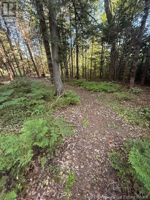 92-7 Loon Bay Road, Loon Bay, New Brunswick  E5A 1H8 - Photo 28 - NB123878
