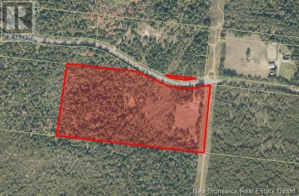 Dark Harbour Road, Grand Manan, New Brunswick E5G 1C6 - Photo 10 - NB123962