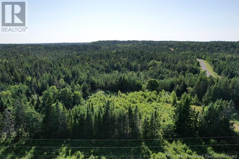 Dark Harbour Road, Grand Manan, New Brunswick E5G 1C6 - Photo 2 - NB123962