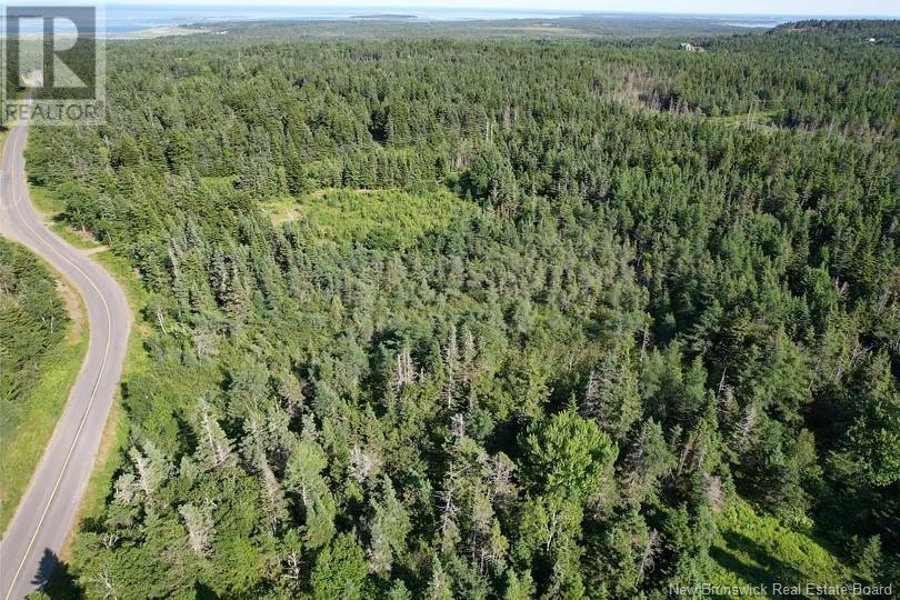 Dark Harbour Road, Grand Manan, New Brunswick E5G 1C6 - Photo 5 - NB123962