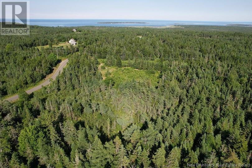 Dark Harbour Road, Grand Manan, New Brunswick E5G 1C6 - Photo 6 - NB123962