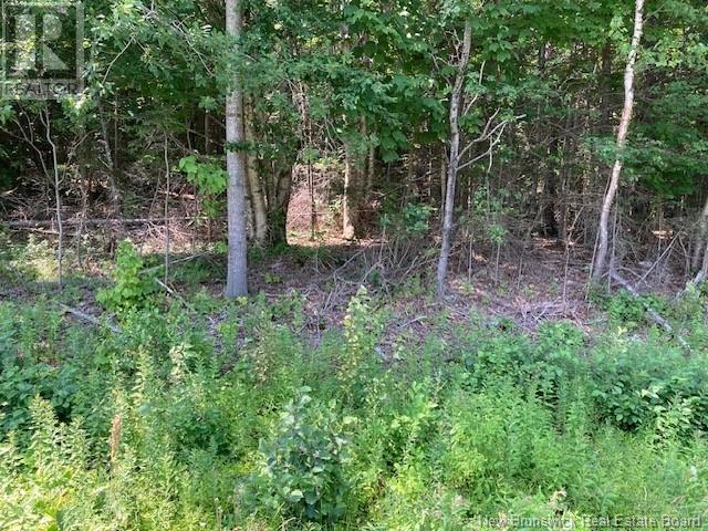 0 Frye Road, Chamcook, New Brunswick  E5B 3R6 - Photo 1 - NB124031