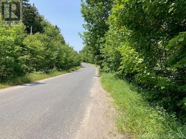 0 Frye Road, Chamcook, New Brunswick  E5B 3R6 - Photo 2 - NB124031