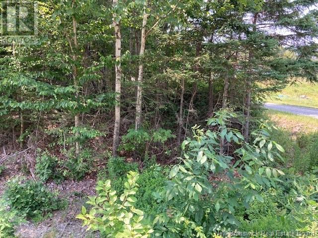 0 Frye Road, Chamcook, New Brunswick  E5B 3R6 - Photo 4 - NB124031