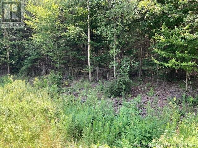 0 Frye Road, Chamcook, New Brunswick  E5B 3R6 - Photo 5 - NB124031
