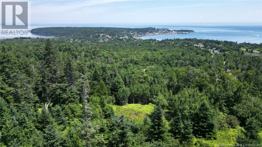 Lot 04-01 Green Street, Grand Manan, New Brunswick E5G 4B8 - Photo 1 - NB124027
