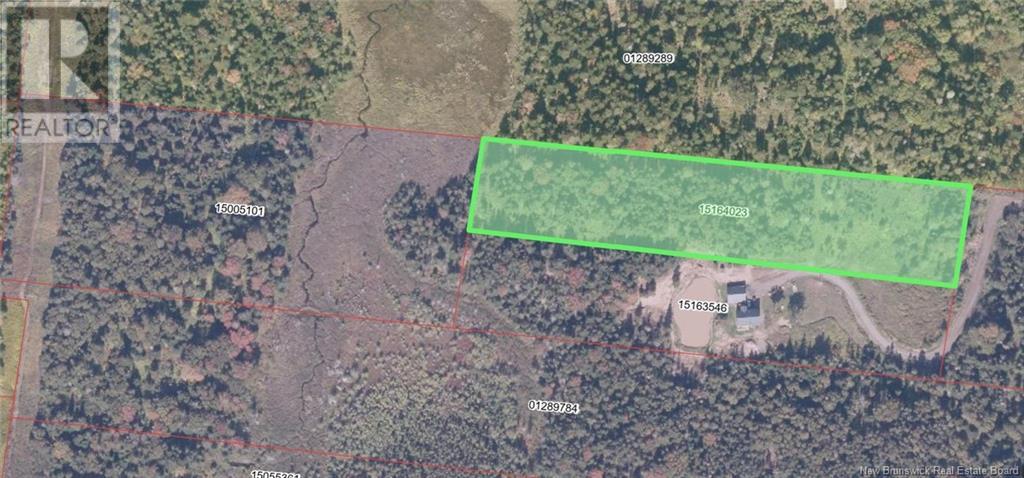 Lot 04-01 Green Street, Grand Manan, New Brunswick E5G 4B8 - Photo 13 - NB124027