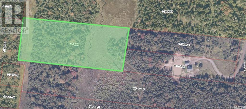 Lot 04-01 Green Street, Grand Manan, New Brunswick E5G 4B8 - Photo 14 - NB124027