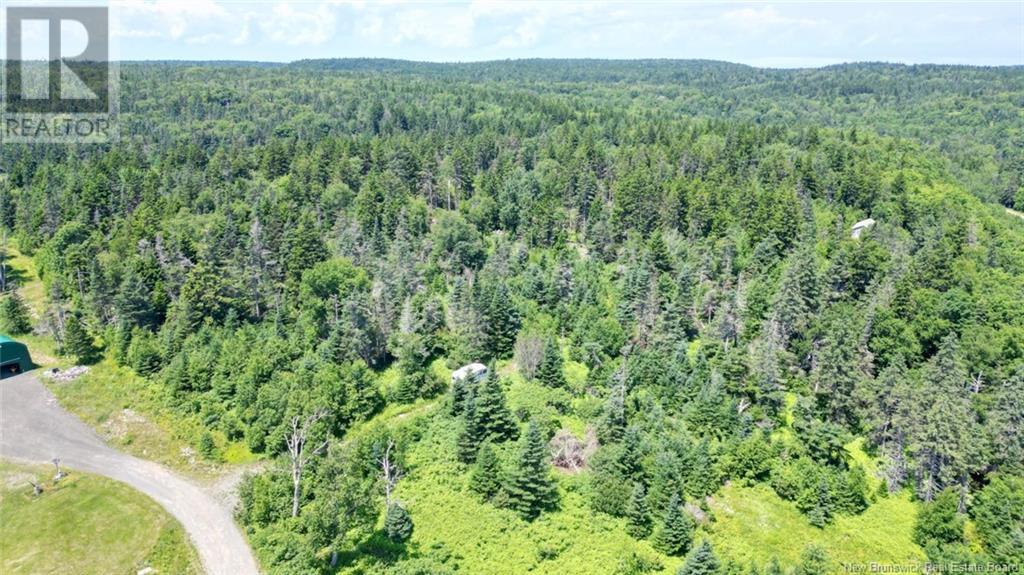 Lot 04-01 Green Street, Grand Manan, New Brunswick E5G 4B8 - Photo 15 - NB124027