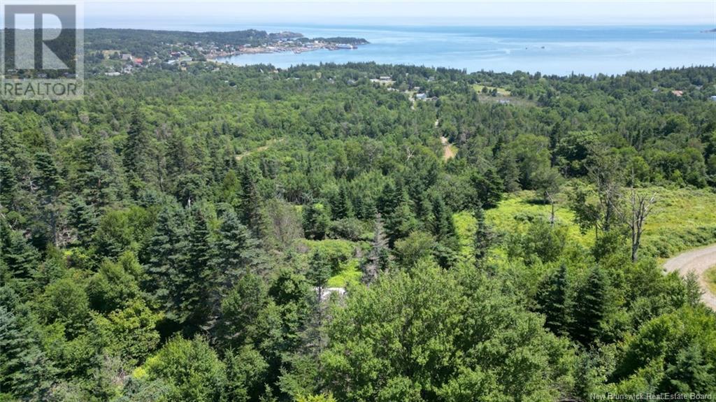 Lot 04-01 Green Street, Grand Manan, New Brunswick E5G 4B8 - Photo 16 - NB124027