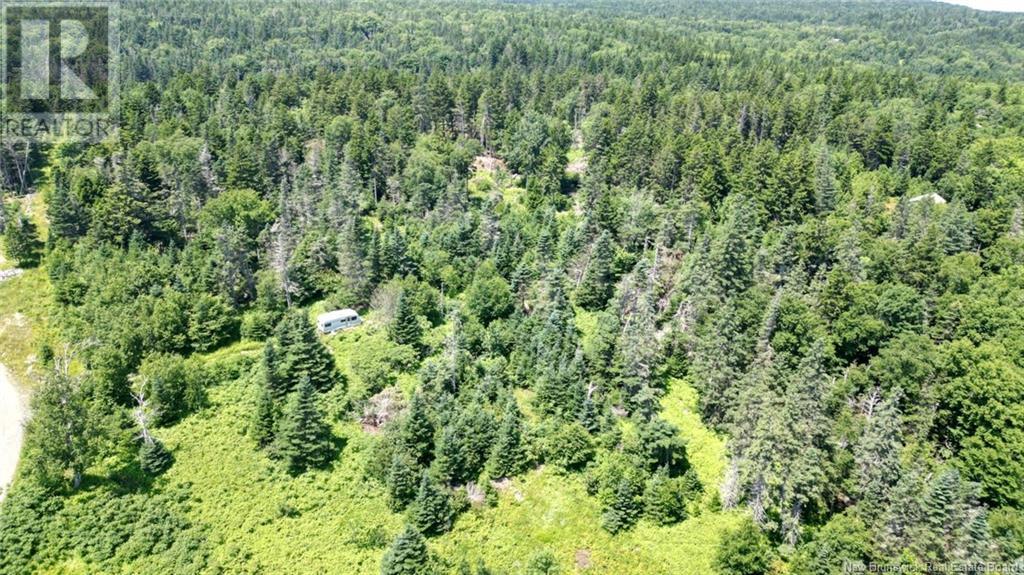 Lot 04-01 Green Street, Grand Manan, New Brunswick E5G 4B8 - Photo 17 - NB124027