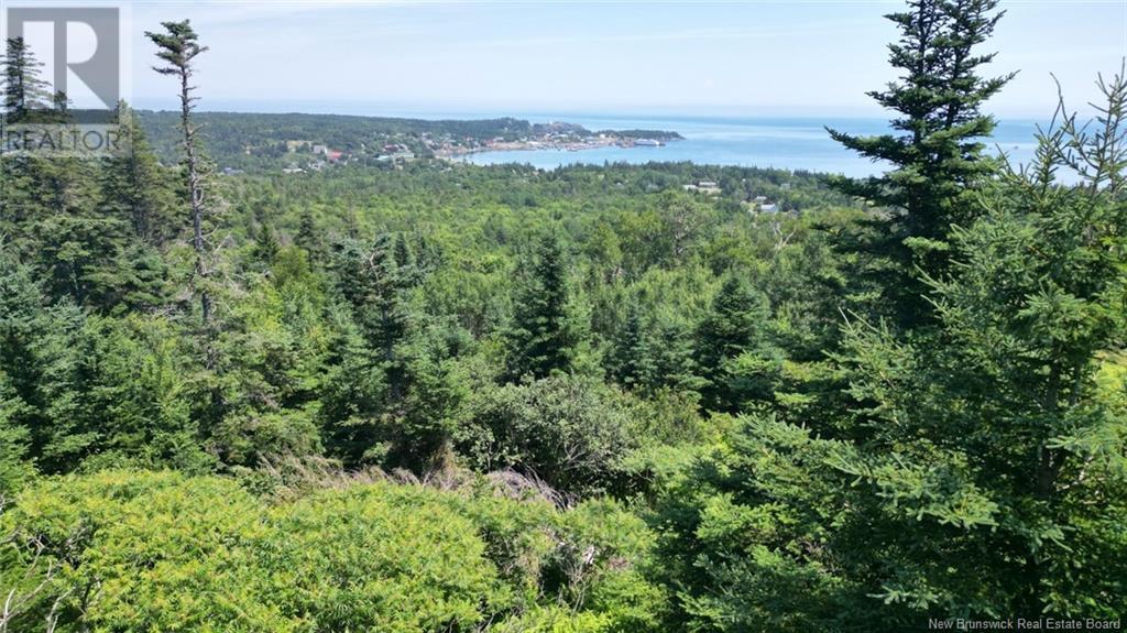 Lot 04-01 Green Street, Grand Manan, New Brunswick E5G 4B8 - Photo 18 - NB124027