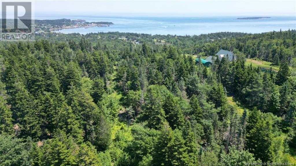 Lot 04-01 Green Street, Grand Manan, New Brunswick E5G 4B8 - Photo 19 - NB124027