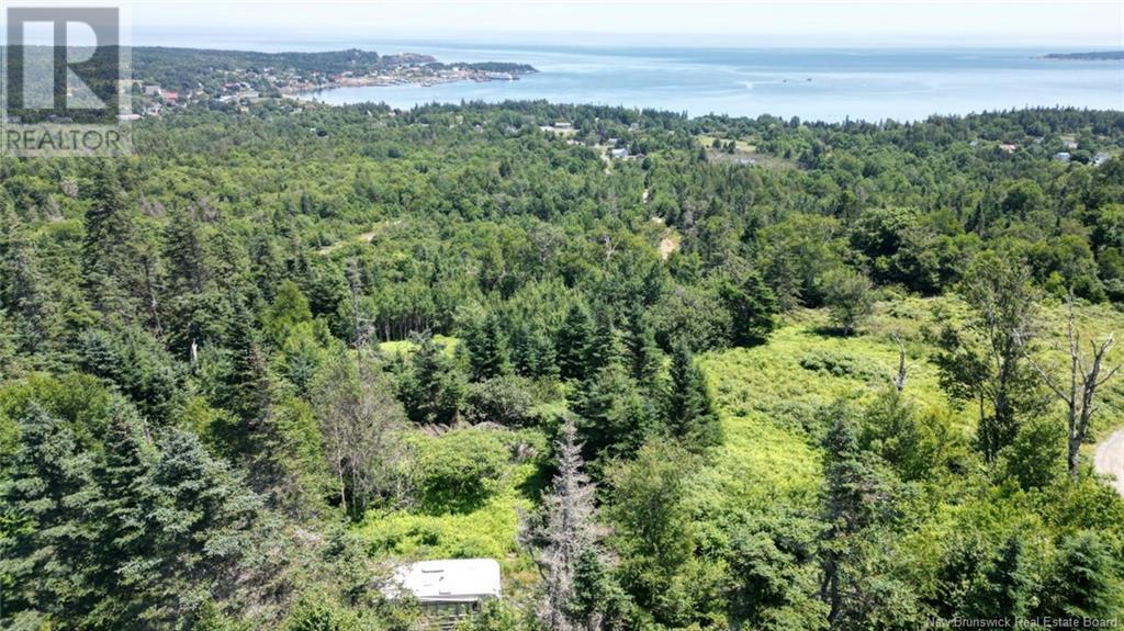 Lot 04-01 Green Street, Grand Manan, New Brunswick E5G 4B8 - Photo 2 - NB124027