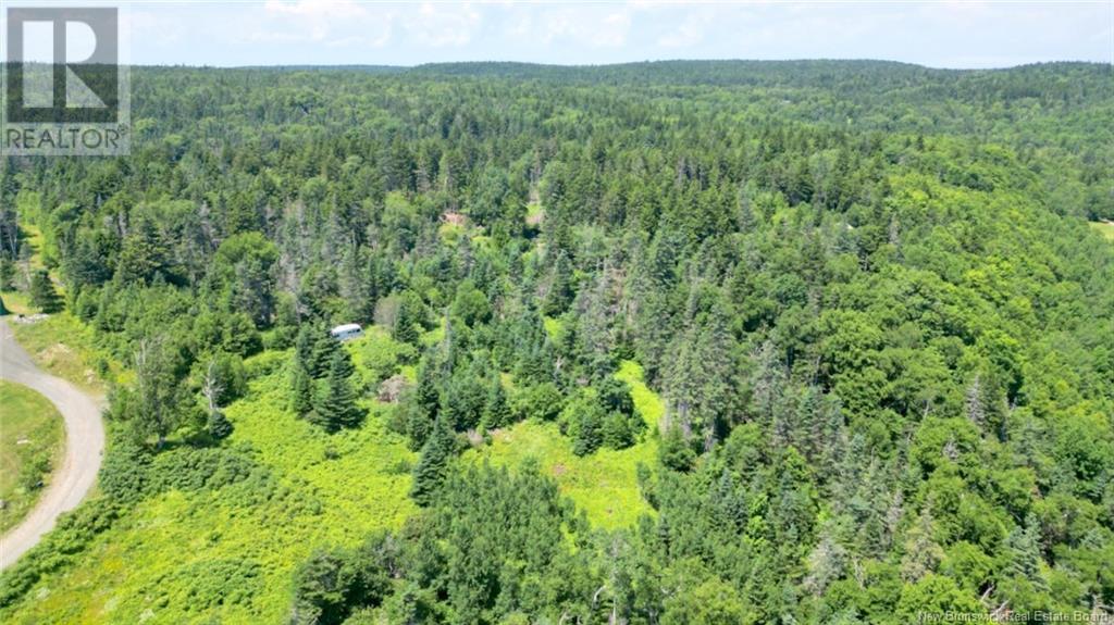 Lot 04-01 Green Street, Grand Manan, New Brunswick E5G 4B8 - Photo 3 - NB124027