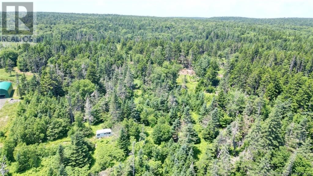 Lot 04-01 Green Street, Grand Manan, New Brunswick E5G 4B8 - Photo 4 - NB124027