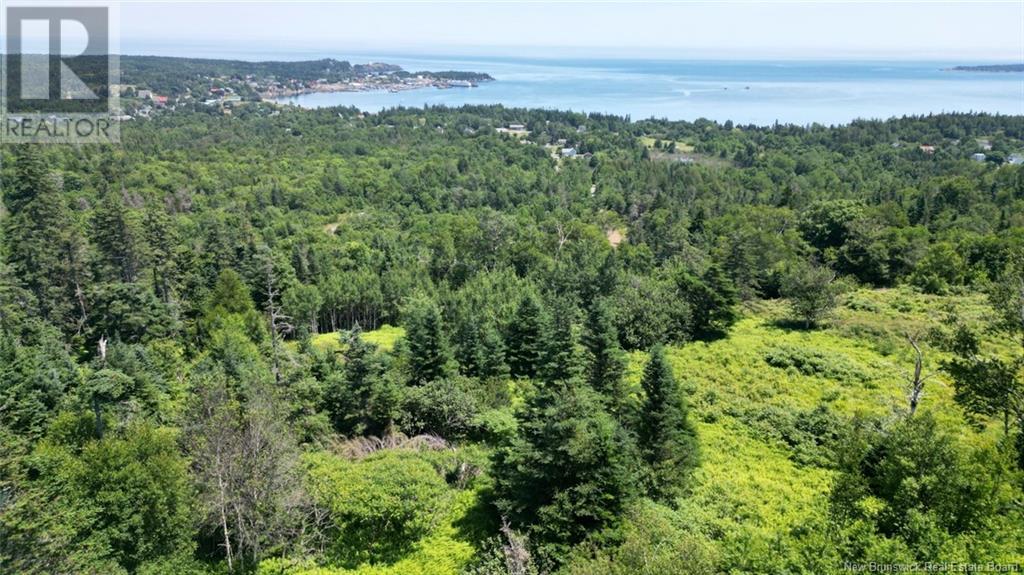 Lot 04-01 Green Street, Grand Manan, New Brunswick E5G 4B8 - Photo 5 - NB124027