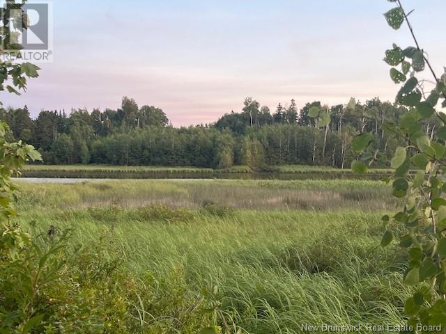 1359 Route 365, Gauvreau, New Brunswick E1X 2P5 - Photo 41 - NB124037