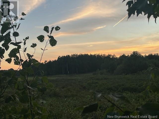 1359 Route 365, Gauvreau, New Brunswick E1X 2P5 - Photo 43 - NB124037