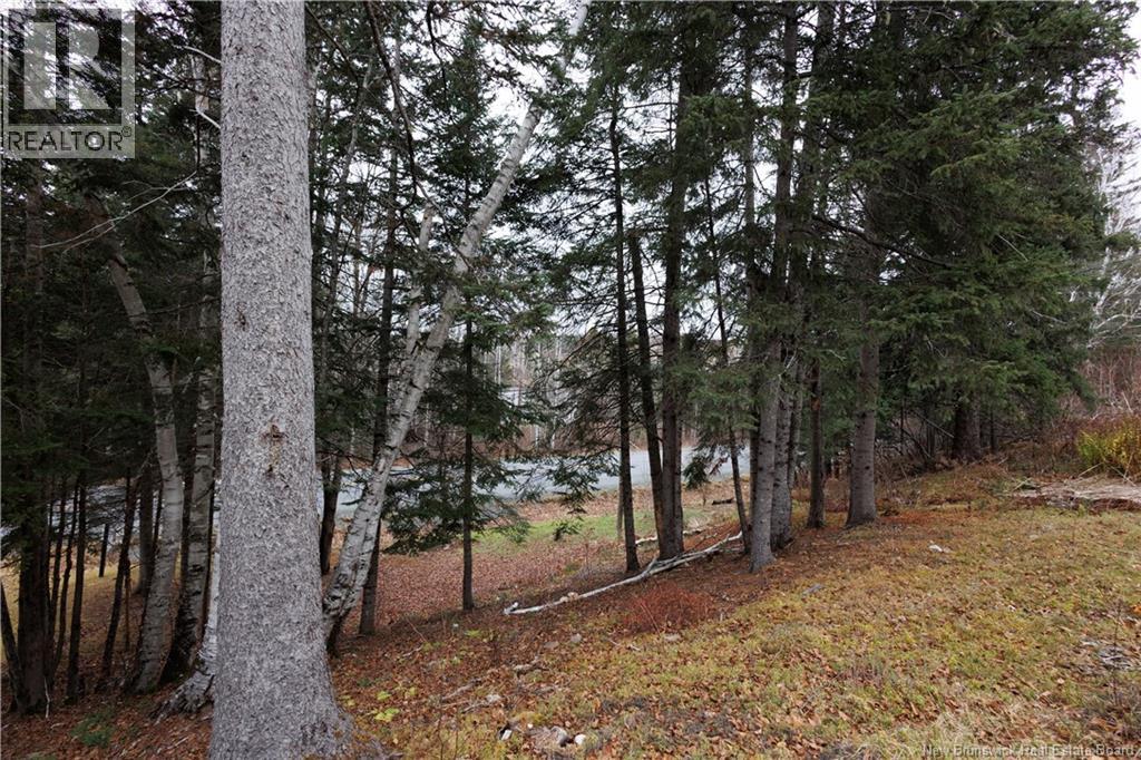 1336 Route 109, Red Rapids, New Brunswick E7H 4H4 - Photo 5 - NB123907