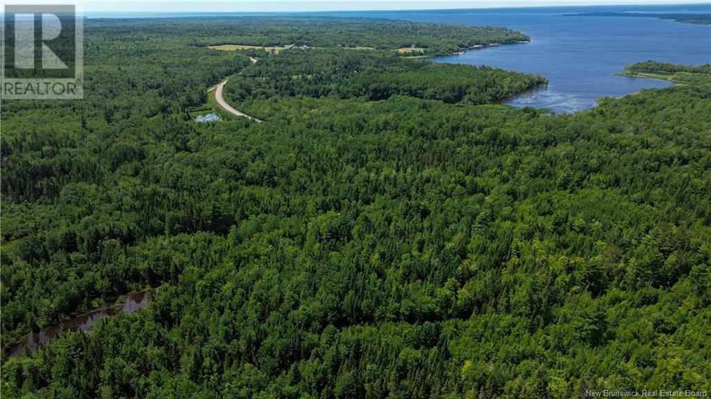 9533 Route 10, Cumberland Bay, New Brunswick E4A 3G8 - Photo 1 - NB124051