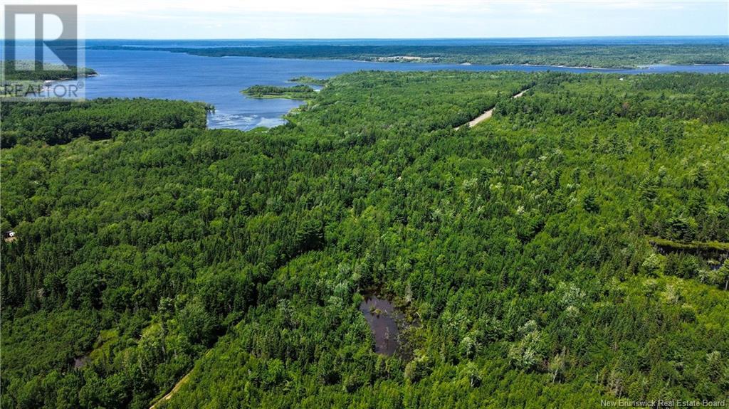 9533 Route 10, Cumberland Bay, New Brunswick E4A 3G8 - Photo 10 - NB124051