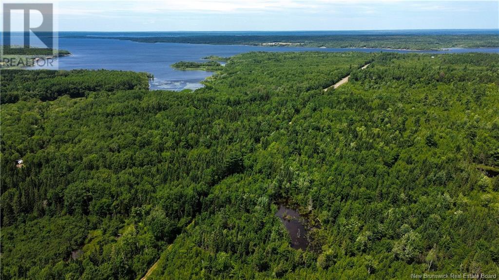 9533 Route 10, Cumberland Bay, New Brunswick E4A 3G8 - Photo 11 - NB124051