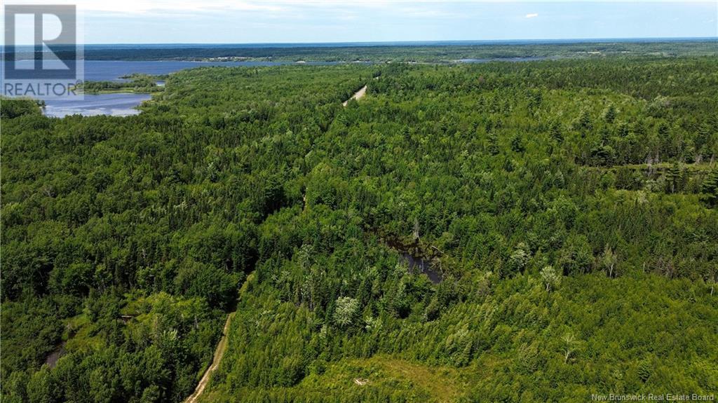 9533 Route 10, Cumberland Bay, New Brunswick E4A 3G8 - Photo 12 - NB124051