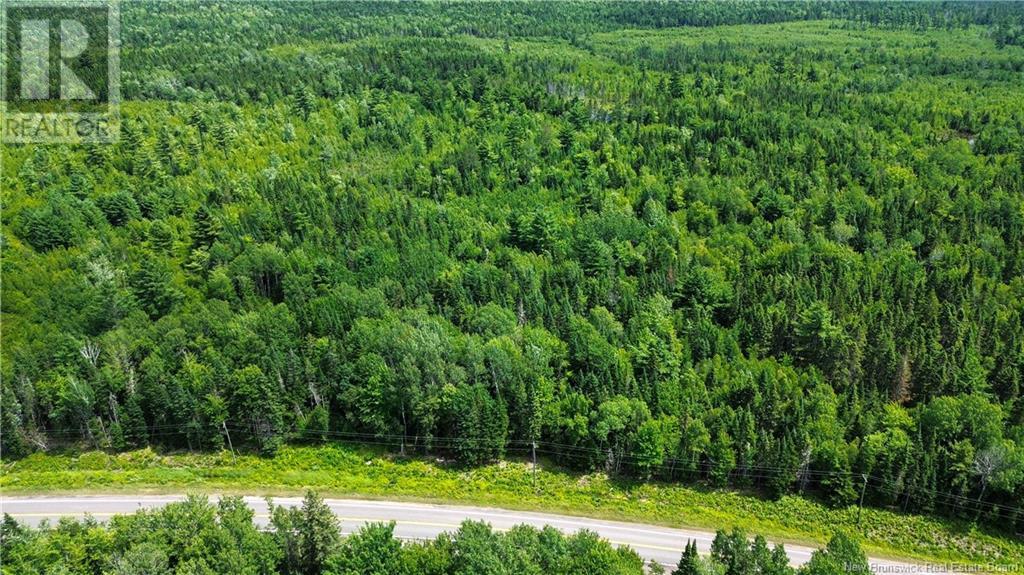 9533 Route 10, Cumberland Bay, New Brunswick E4A 3G8 - Photo 14 - NB124051