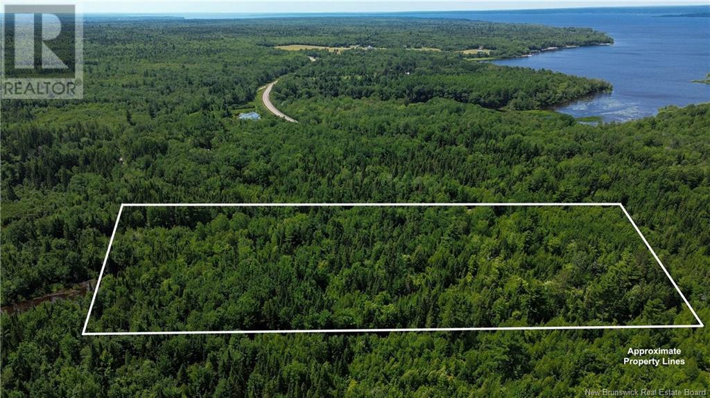 9533 Route 10, Cumberland Bay, New Brunswick E4A 3G8 - Photo 3 - NB124051