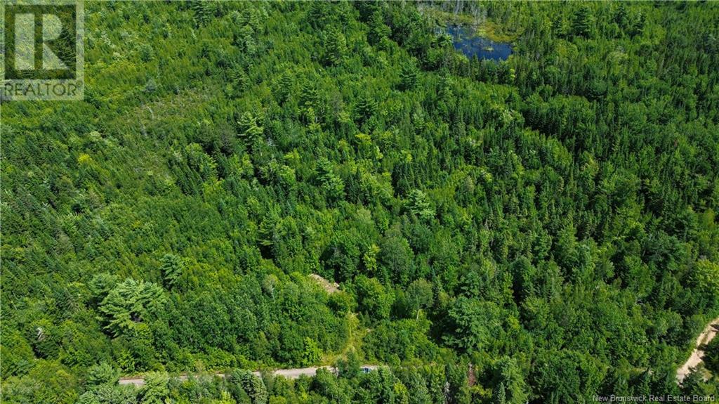 9533 Route 10, Cumberland Bay, New Brunswick E4A 3G8 - Photo 4 - NB124051