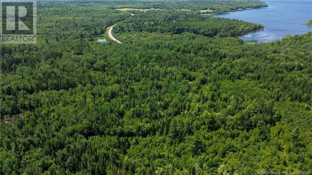 9533 Route 10, Cumberland Bay, New Brunswick E4A 3G8 - Photo 5 - NB124051