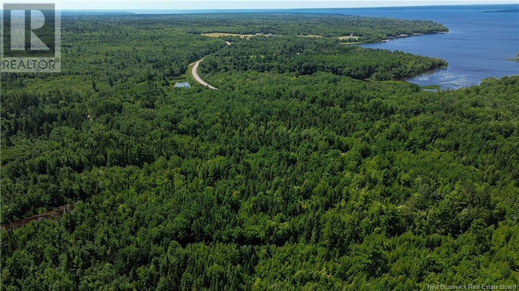 9533 Route 10, Cumberland Bay, New Brunswick E4A 3G8 - Photo 6 - NB124051