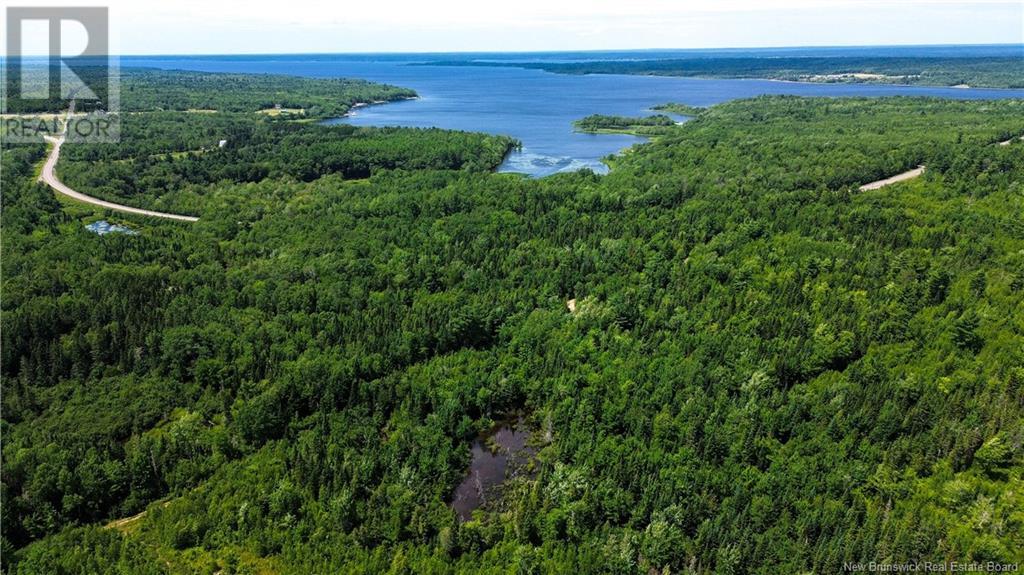 9533 Route 10, Cumberland Bay, New Brunswick E4A 3G8 - Photo 7 - NB124051