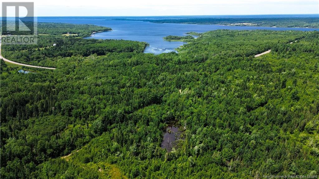 9533 Route 10, Cumberland Bay, New Brunswick E4A 3G8 - Photo 9 - NB124051