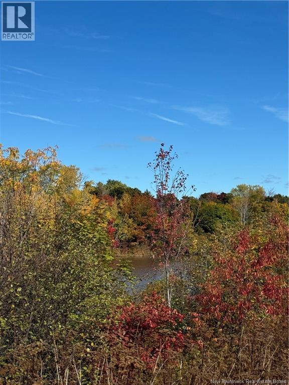 109 Upton Street, Moncton, New Brunswick  E1E 2Z9 - Photo 42 - NB124100