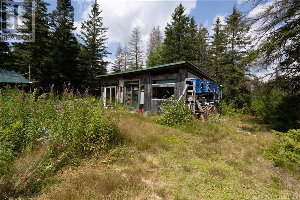 4199 Route 3, Brockway, New Brunswick  E6K 1Y3 - Photo 38 - NB124136