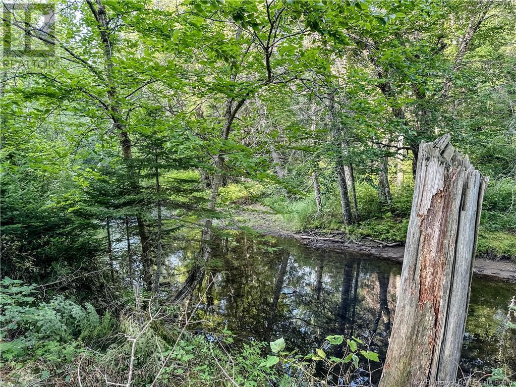 1390 Tweedie Brook Road, Kouchibouguac, New Brunswick E4X 1N3 - Photo 5 - NB124101