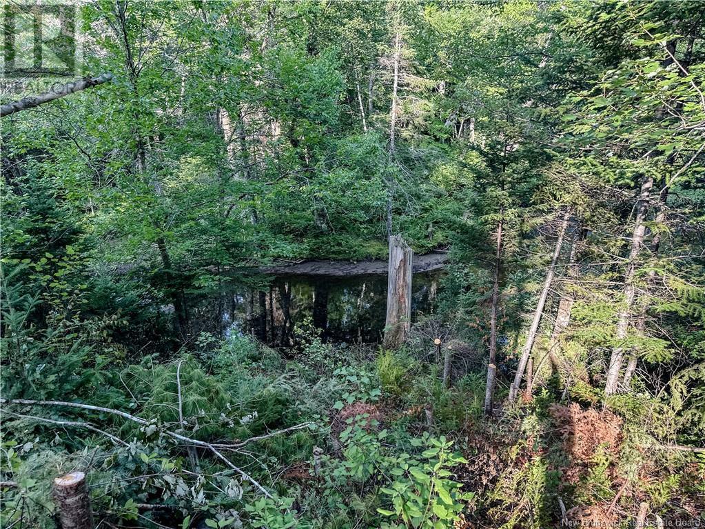 1390 Tweedie Brook Road, Kouchibouguac, New Brunswick E4X 1N3 - Photo 6 - NB124101